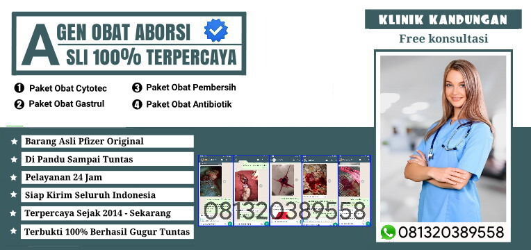 Obat Aborsi